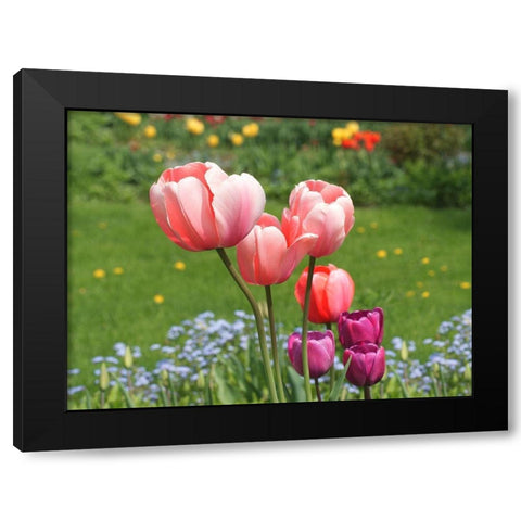 Nuances Black Modern Wood Framed Art Print by Bonin, Suzanne