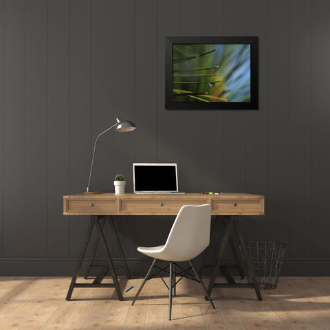 One Drop Black Modern Wood Framed Art Print by Bonin, Suzanne