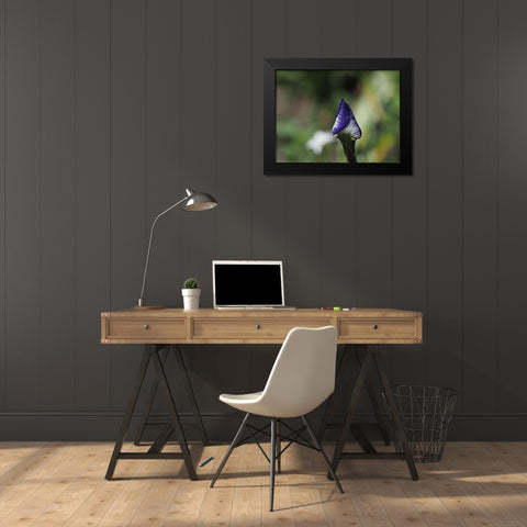Opening Up Black Modern Wood Framed Art Print by Bonin, Suzanne