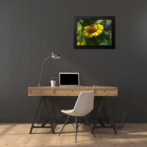 Prettier In Yellow Black Modern Wood Framed Art Print by Bonin, Suzanne