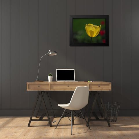 Pretty Lady Black Modern Wood Framed Art Print by Bonin, Suzanne
