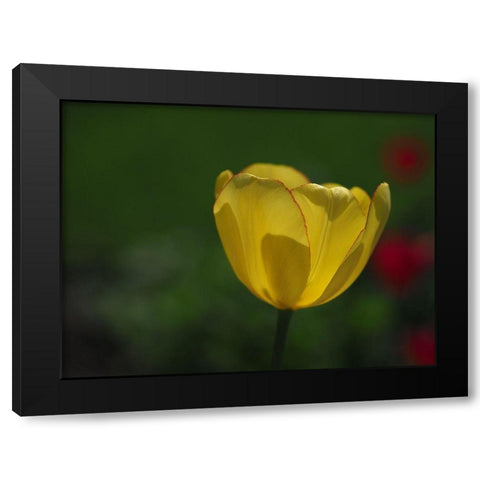 Pretty Lady Black Modern Wood Framed Art Print with Double Matting by Bonin, Suzanne