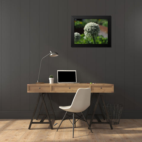Sphere Black Modern Wood Framed Art Print by Bonin, Suzanne