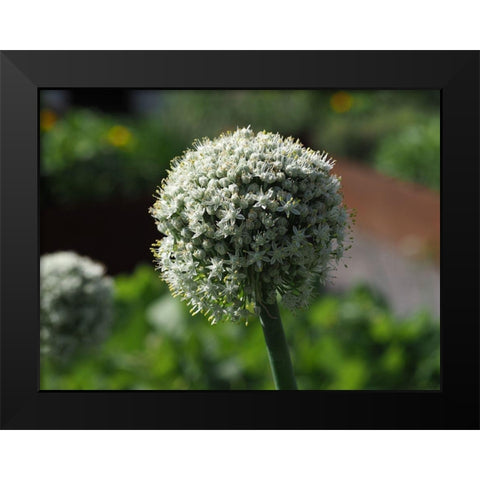 Sphere Black Modern Wood Framed Art Print by Bonin, Suzanne
