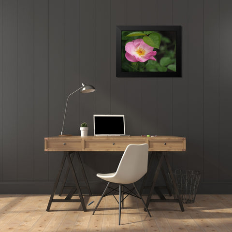 Under The Shade Black Modern Wood Framed Art Print by Bonin, Suzanne