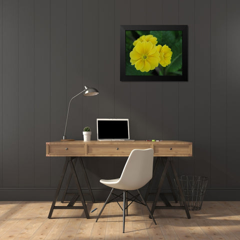 Yellow Trio Black Modern Wood Framed Art Print by Bonin, Suzanne