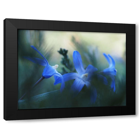 Broken Black Modern Wood Framed Art Print by Bonin, Suzanne