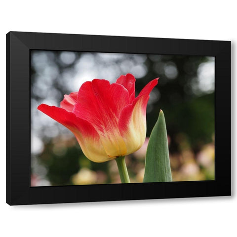 Happy One Black Modern Wood Framed Art Print with Double Matting by Bonin, Suzanne