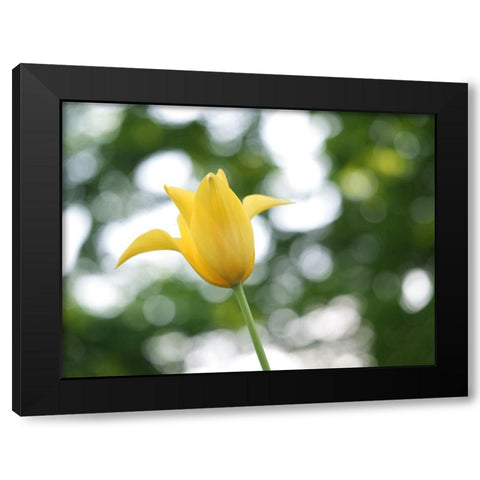 Lady In Yellow Black Modern Wood Framed Art Print with Double Matting by Bonin, Suzanne