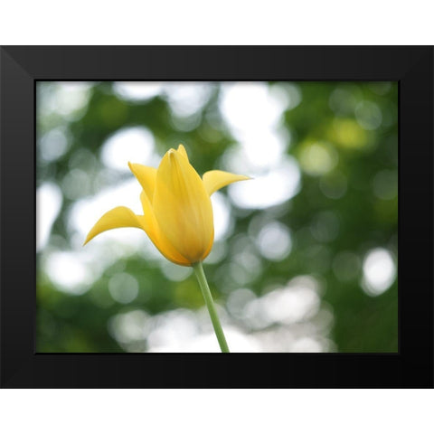 Lady In Yellow Black Modern Wood Framed Art Print by Bonin, Suzanne