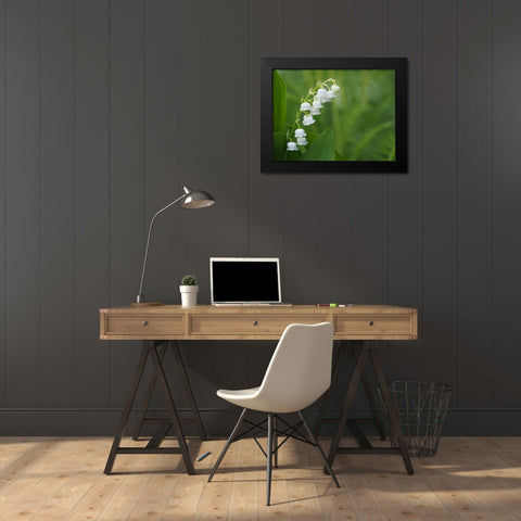 Muguet Black Modern Wood Framed Art Print by Bonin, Suzanne