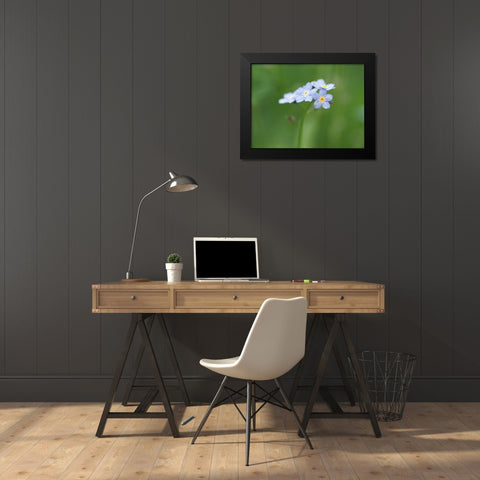 Small World Black Modern Wood Framed Art Print by Bonin, Suzanne