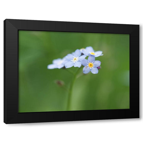 Small World Black Modern Wood Framed Art Print with Double Matting by Bonin, Suzanne