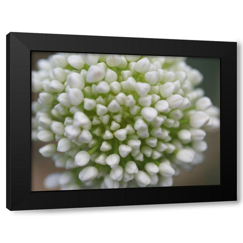 Another World Black Modern Wood Framed Art Print with Double Matting by Bonin, Suzanne