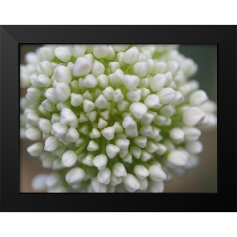 Another World Black Modern Wood Framed Art Print by Bonin, Suzanne