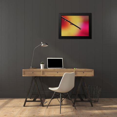 Experiment Black Modern Wood Framed Art Print by Bonin, Suzanne