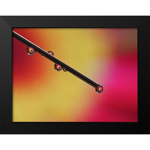 Experiment Black Modern Wood Framed Art Print by Bonin, Suzanne