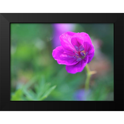 Little Bead Black Modern Wood Framed Art Print by Bonin, Suzanne