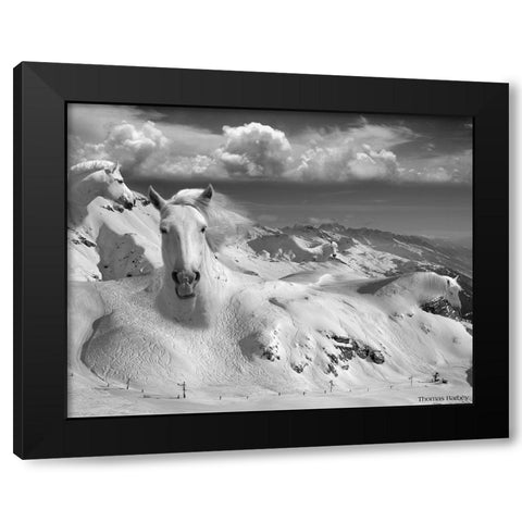 Icy Studs Black Modern Wood Framed Art Print with Double Matting by Barbey, Thomas