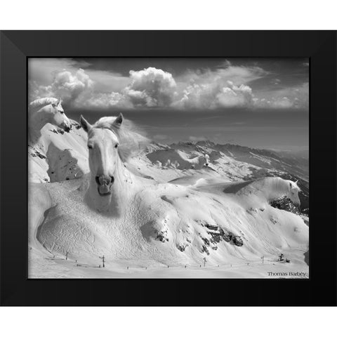 Icy Studs Black Modern Wood Framed Art Print by Barbey, Thomas