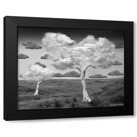 Natural Disorder Black Modern Wood Framed Art Print with Double Matting by Barbey, Thomas