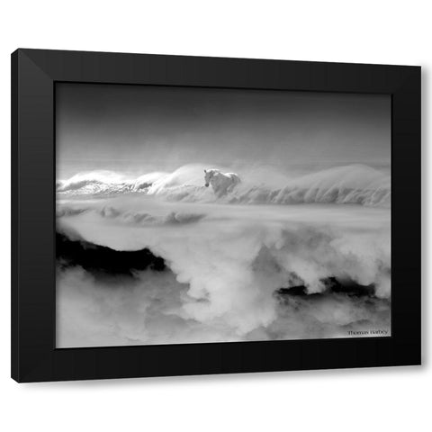 Night... Mare Black Modern Wood Framed Art Print with Double Matting by Barbey, Thomas