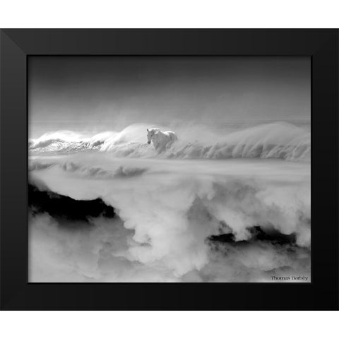 Night... Mare Black Modern Wood Framed Art Print by Barbey, Thomas