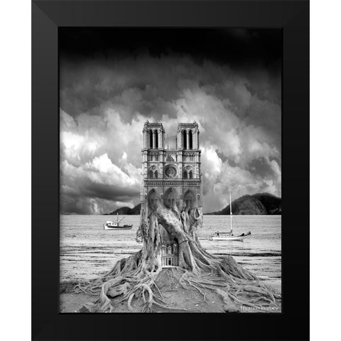 Stumped Black Modern Wood Framed Art Print by Barbey, Thomas