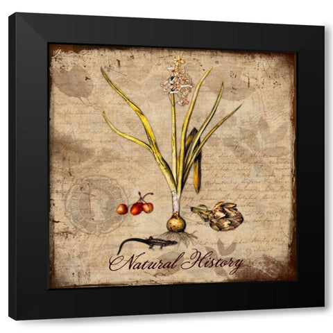 Natural History Black Modern Wood Framed Art Print by Lavoie, Tina