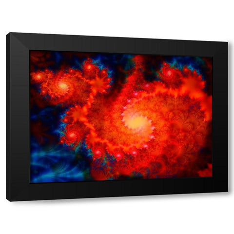Cosmos Black Modern Wood Framed Art Print with Double Matting by Lavoie, Tina