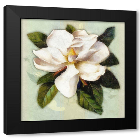 Nouveau Botanica Black Modern Wood Framed Art Print by Lavoie, Tina