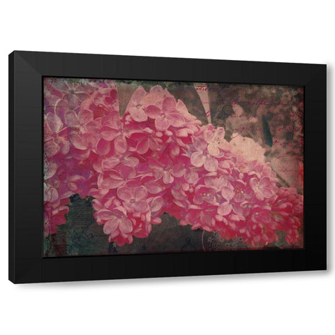 Vintage Lilacs Deux Black Modern Wood Framed Art Print by Lavoie, Tina