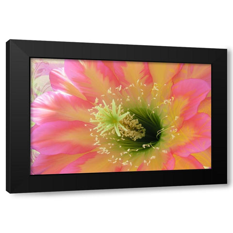Paradisum II Black Modern Wood Framed Art Print with Double Matting by Lavoie, Tina