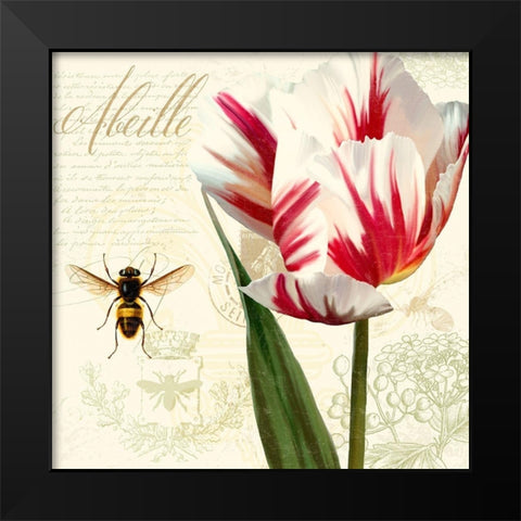 Natural History Sketchbook II Black Modern Wood Framed Art Print by Lavoie, Tina