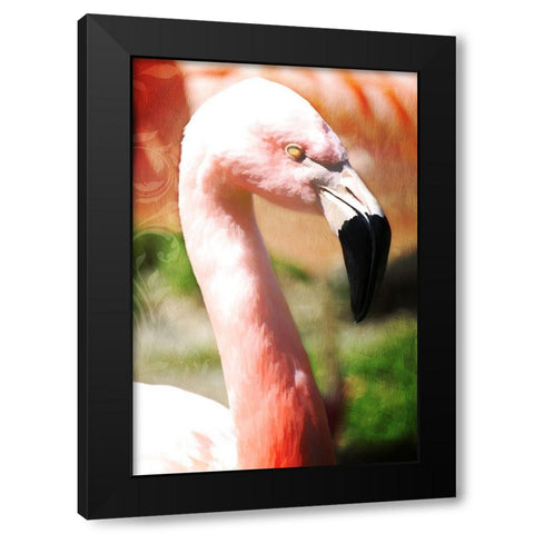 Pink Flamingo I Black Modern Wood Framed Art Print with Double Matting by Lavoie, Tina