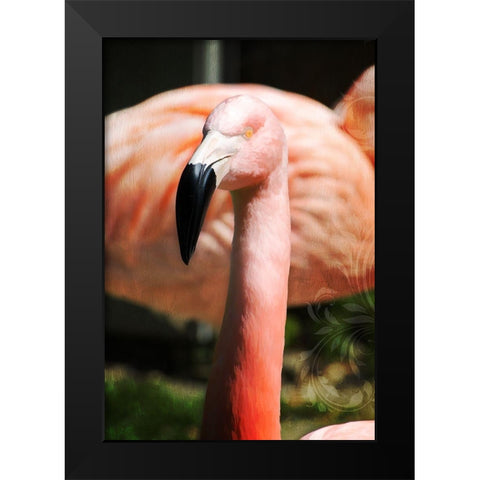 Pink Flamingo II Black Modern Wood Framed Art Print by Lavoie, Tina