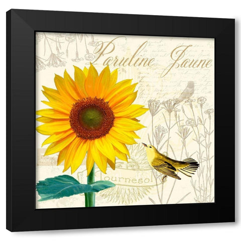 Natural History Sketchbook IV Black Modern Wood Framed Art Print with Double Matting by Lavoie, Tina