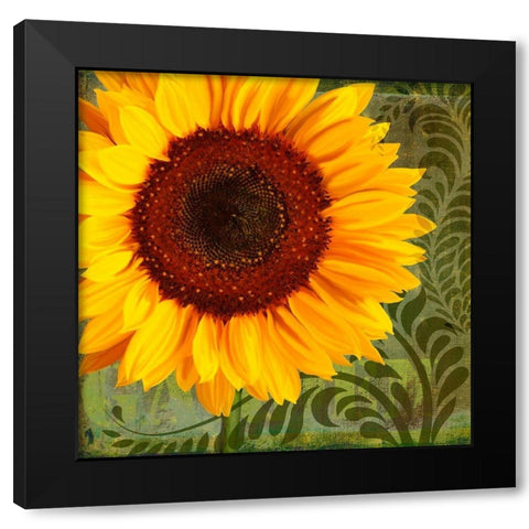 Summer Sun I Black Modern Wood Framed Art Print with Double Matting by Lavoie, Tina