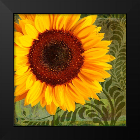 Summer Sun I Black Modern Wood Framed Art Print by Lavoie, Tina