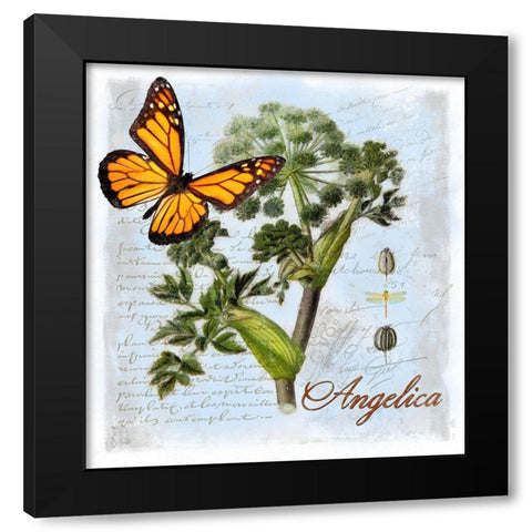 Angelica Herb Black Modern Wood Framed Art Print with Double Matting by Lavoie, Tina