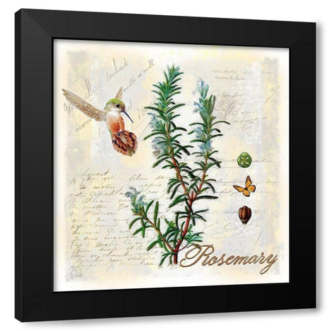 Rosemary Herb Black Modern Wood Framed Art Print with Double Matting by Lavoie, Tina