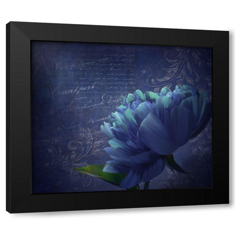Patience Black Modern Wood Framed Art Print by Lavoie, Tina