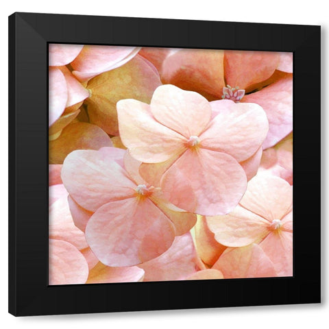 Innocence Pattern Black Modern Wood Framed Art Print with Double Matting by Lavoie, Tina