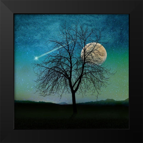 Solitude Black Modern Wood Framed Art Print by Lavoie, Tina