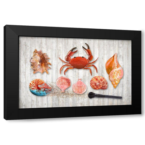 Marine Biology Black Modern Wood Framed Art Print by Lavoie, Tina