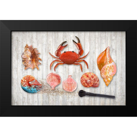 Marine Biology Black Modern Wood Framed Art Print by Lavoie, Tina