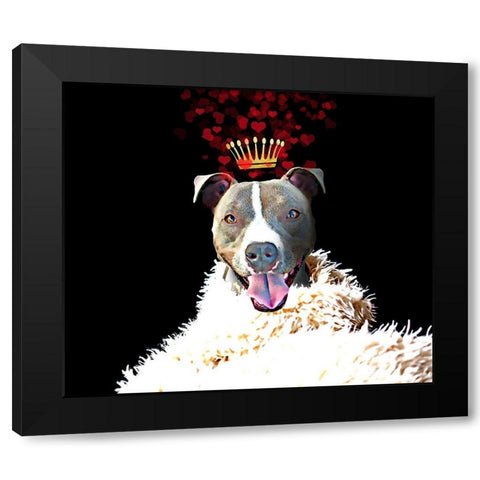 Royal Love Pup - Pit Bull Terrier Black Modern Wood Framed Art Print with Double Matting by Lavoie, Tina