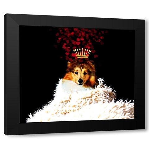 Royal Love Pup - Sheltie Black Modern Wood Framed Art Print with Double Matting by Lavoie, Tina