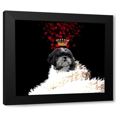 Royal Love Pup - Shi Tzu Black Modern Wood Framed Art Print with Double Matting by Lavoie, Tina