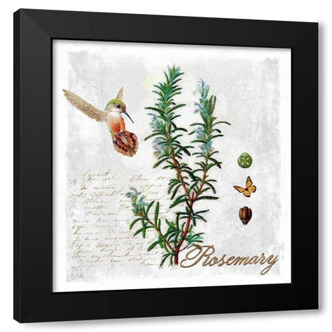 Botanical Garden Rosemary Herb Black Modern Wood Framed Art Print by Lavoie, Tina